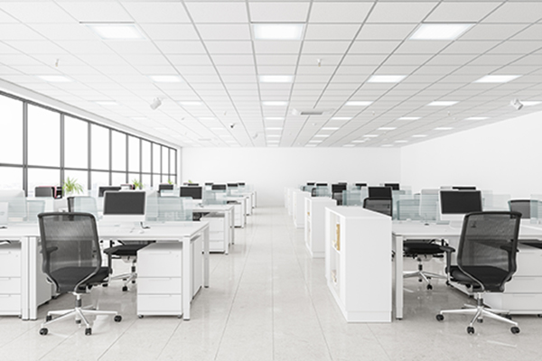 disinfection services